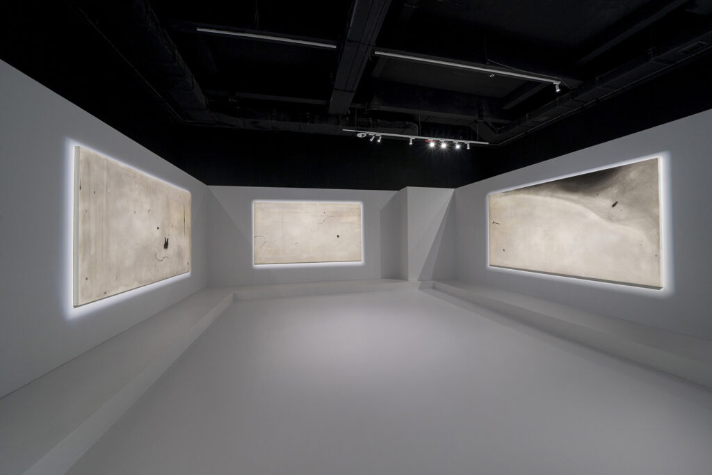 ZENO X GALLERY - _dsc1613