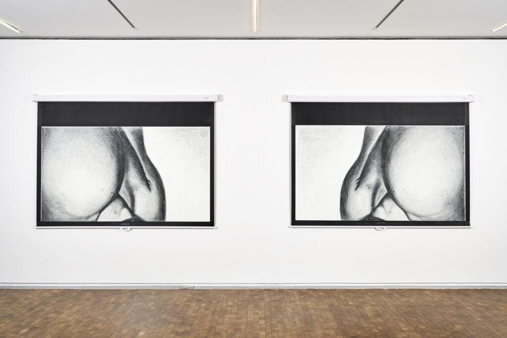 ZENO X GALLERY - Mma2020_08b