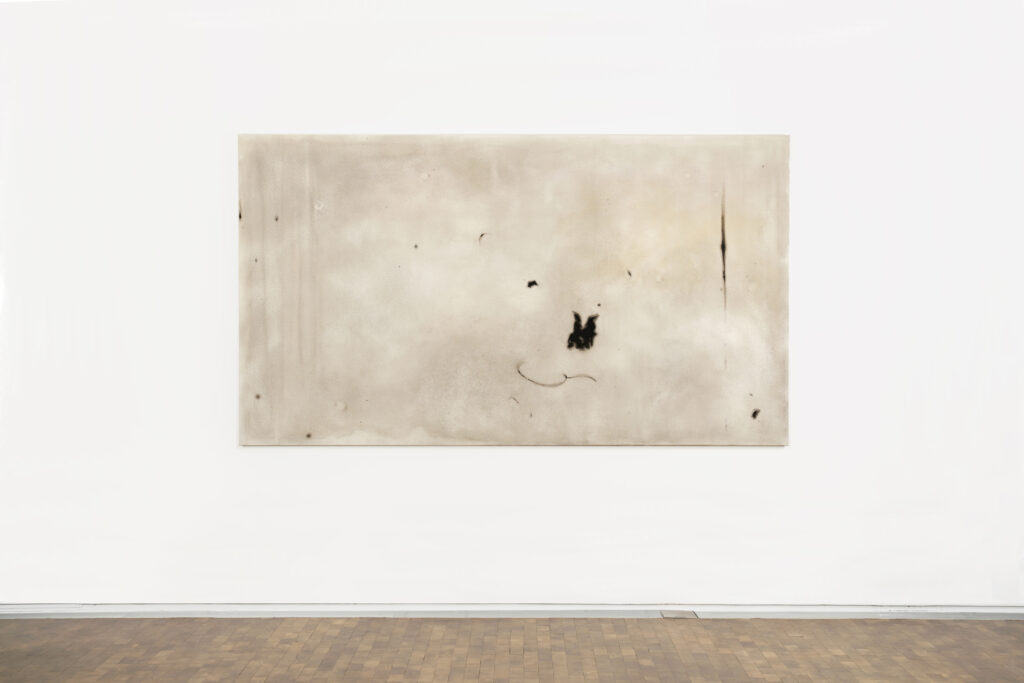 ZENO X GALLERY - Mma2021_02extrawit