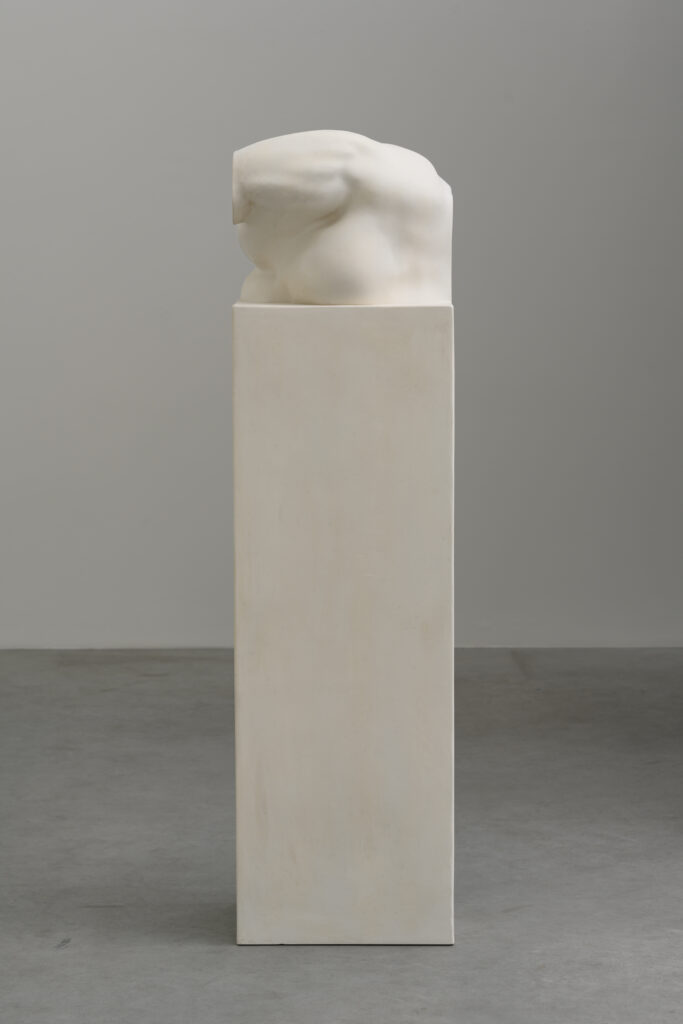 ZENO X GALLERY - Mma2021_12_1_3a