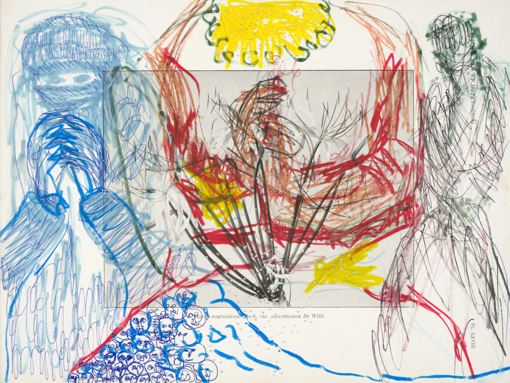 ZENO X GALLERY - Pélagie gbaguidi