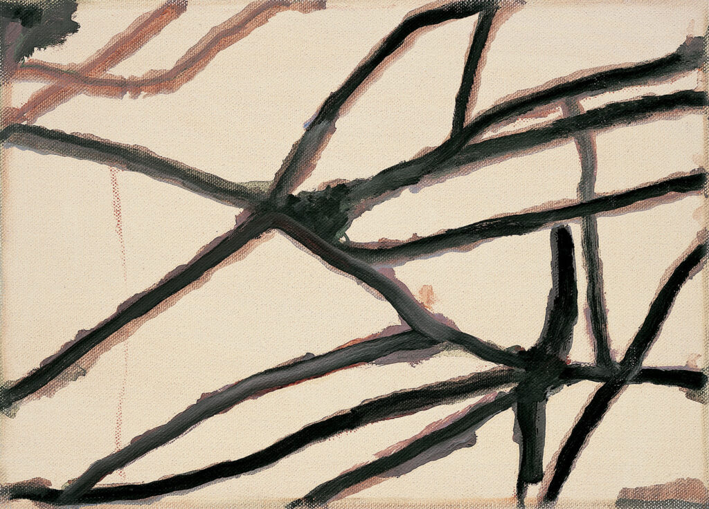 ZENO X GALLERY - Raoul de keyser