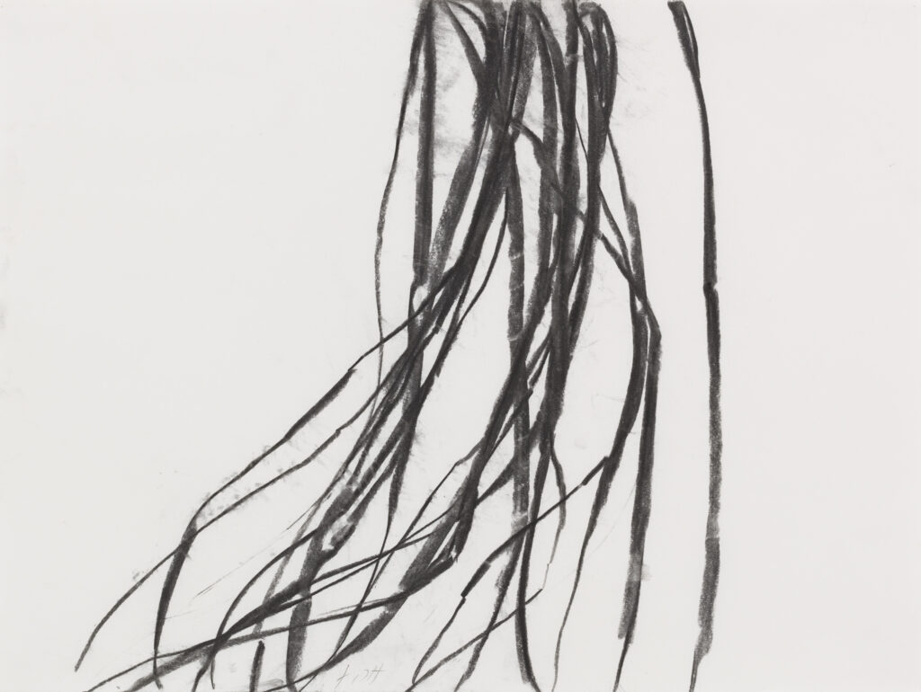 ZENO X GALLERY - Susan hartnett