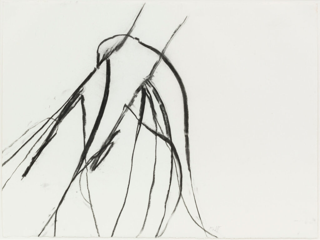 ZENO X GALLERY - Susan Hartnett