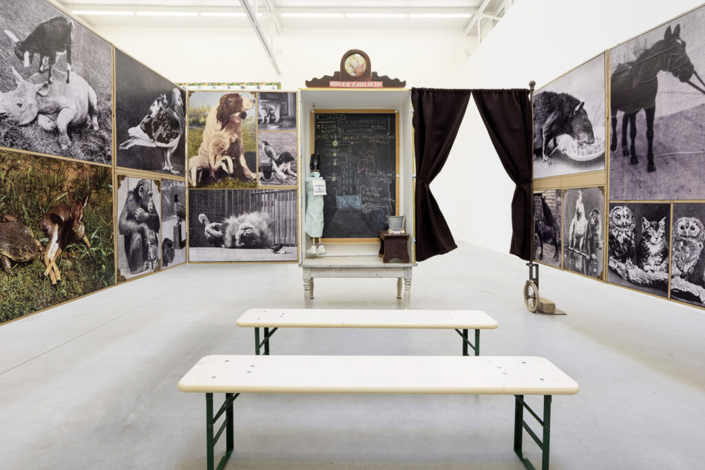 ZENO X GALLERY - Patrick van caeckenbergh