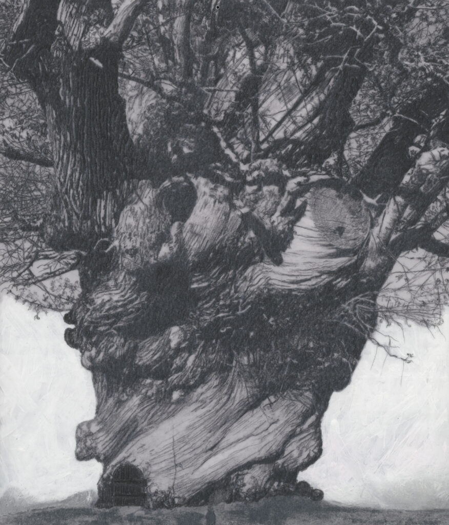 ZENO X GALLERY - Patrick van caeckenbergh