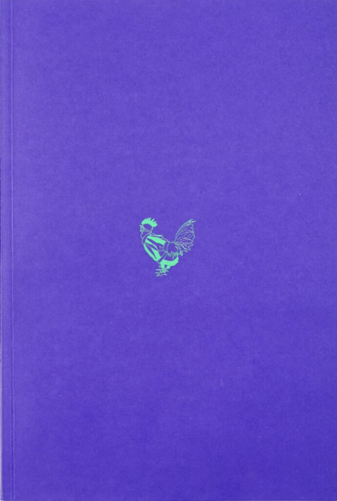 ZENO X GALLERY - Pietro Roccasalva: new publication