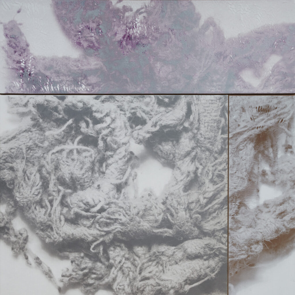 ZENO X GALLERY - N. dash